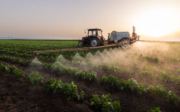Pest Control Cost in Waller, TX